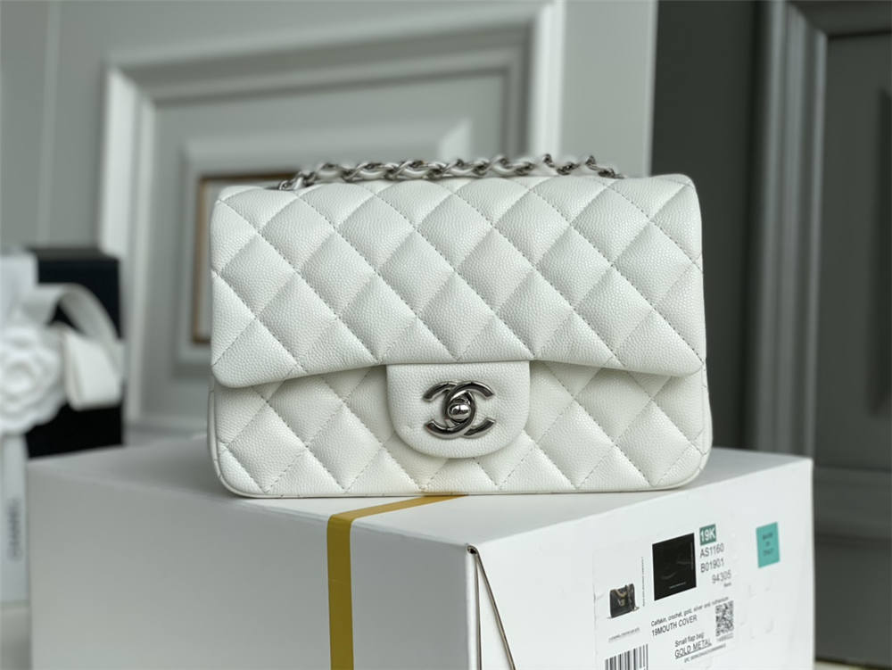 Chanel classic flap 20cm 2025 new 